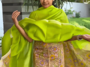 Sheer Elegance: Pure Organza Silk Flared Canvas Dress – Just ₹239/-