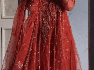 ❤️🌸 Luxury Party Wear in Bold Red 👑✨