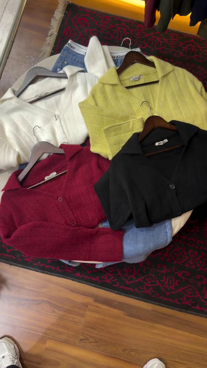 vlcsnap-2026-01-21-12h47m35s268